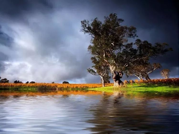 在PS里水波倒影不会做？用FLOOD插件帮你轻松快速完成