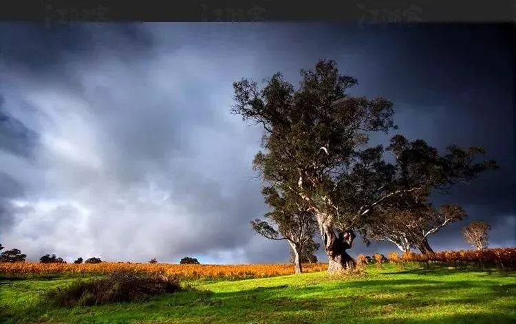 在PS里水波倒影不会做？用FLOOD插件帮你轻松快速完成