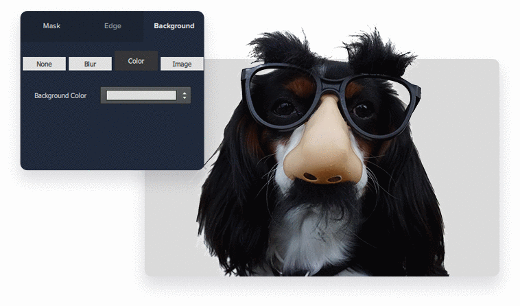 Topaz Mask AI v1.0.2 AI智能蒙版抠像工具+使用教程(Win&Mac)