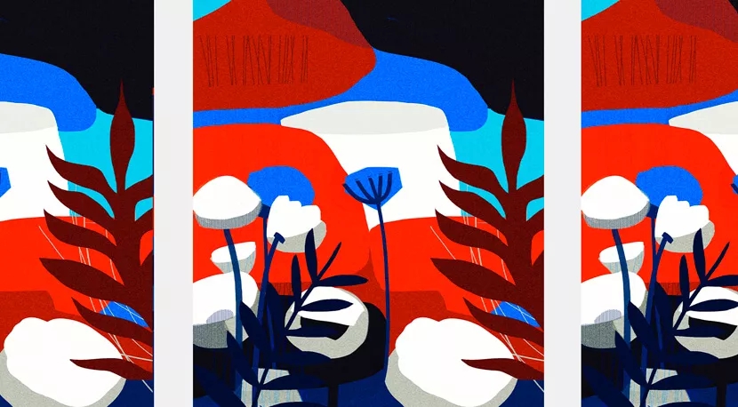 干货｜2020年最佳色彩搭配组合