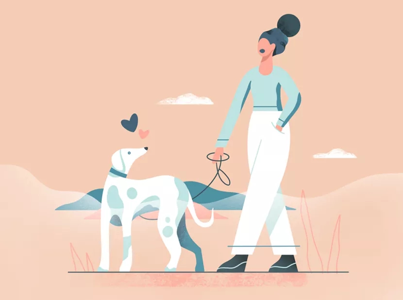 干货｜2020年最佳色彩搭配组合