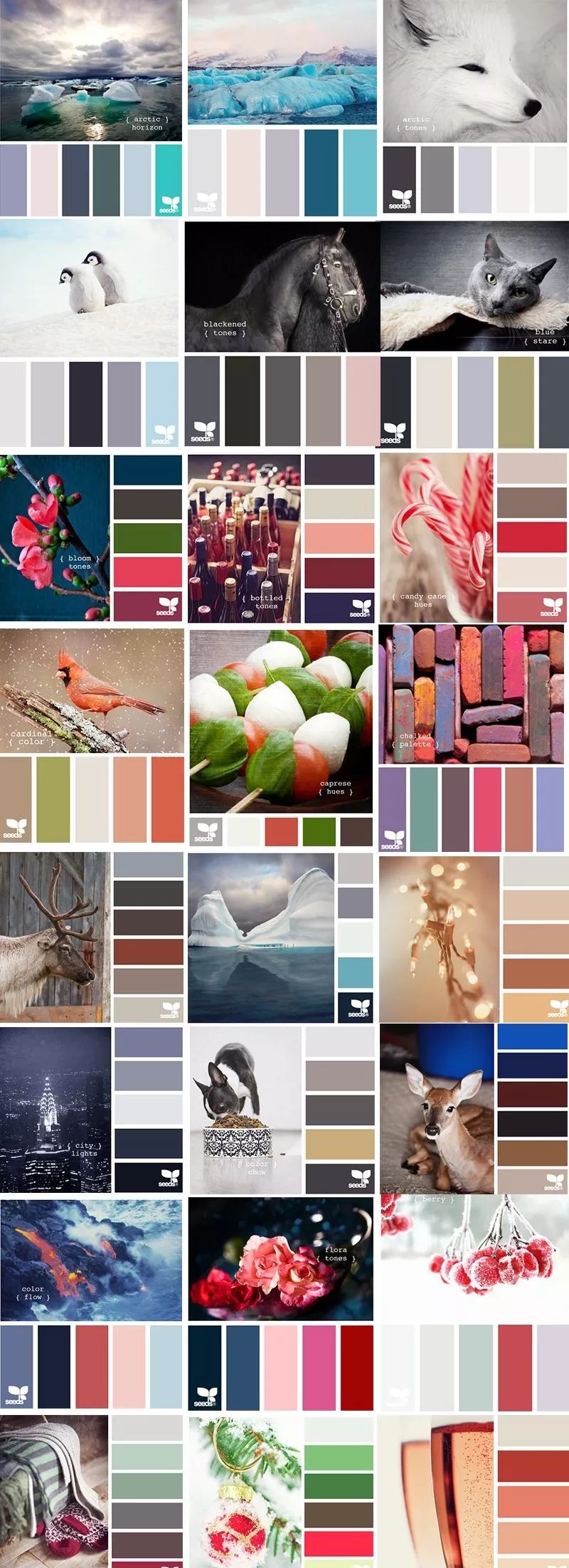不会配色？配色太难看，试试从这5200张配色卡中寻找灵感吧