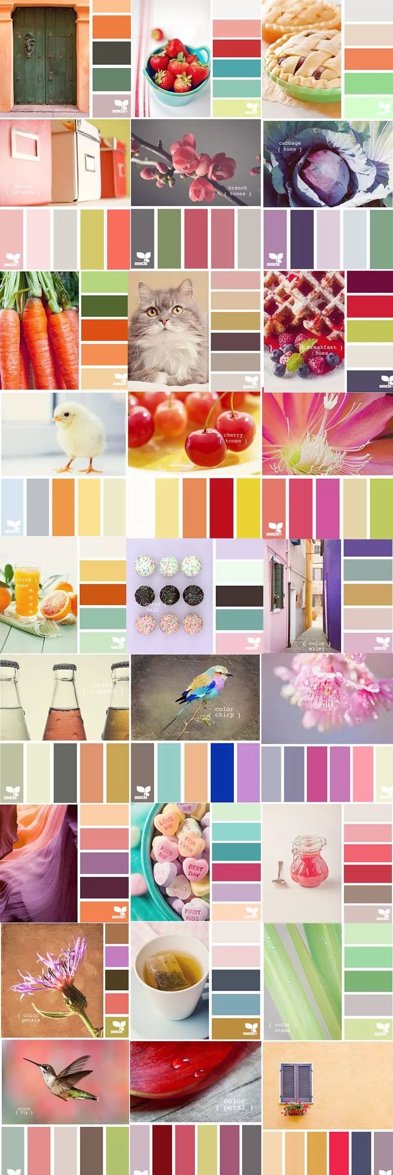 不会配色？配色太难看，试试从这5200张配色卡中寻找灵感吧