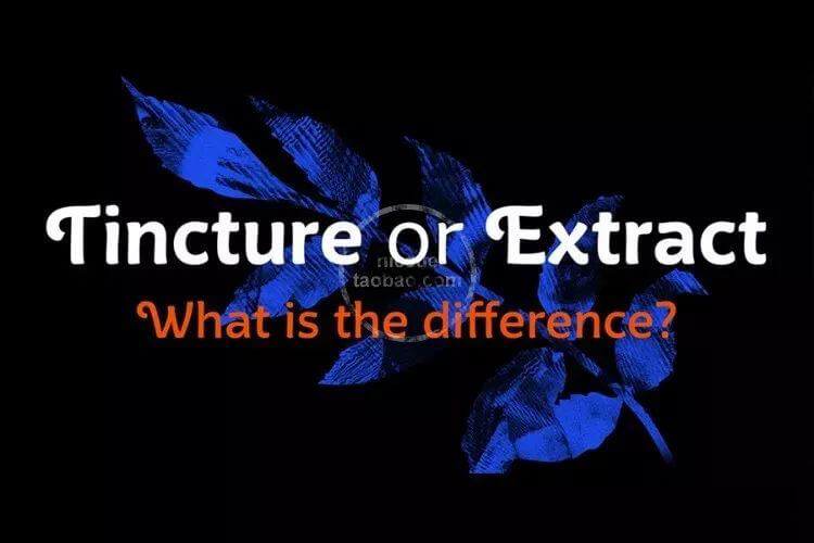 2020最新整理超高逼格100款手写英文字体，让你的设计作品高大上！