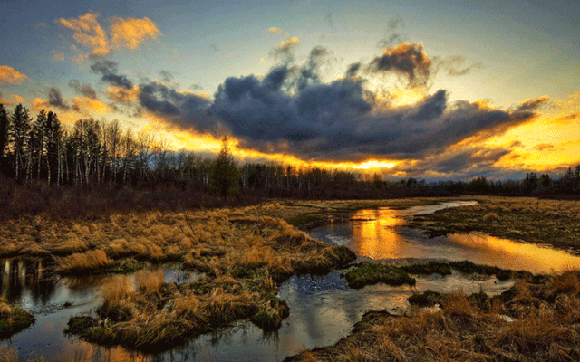 2020年最全PS一键安装开挂插件素材下载!