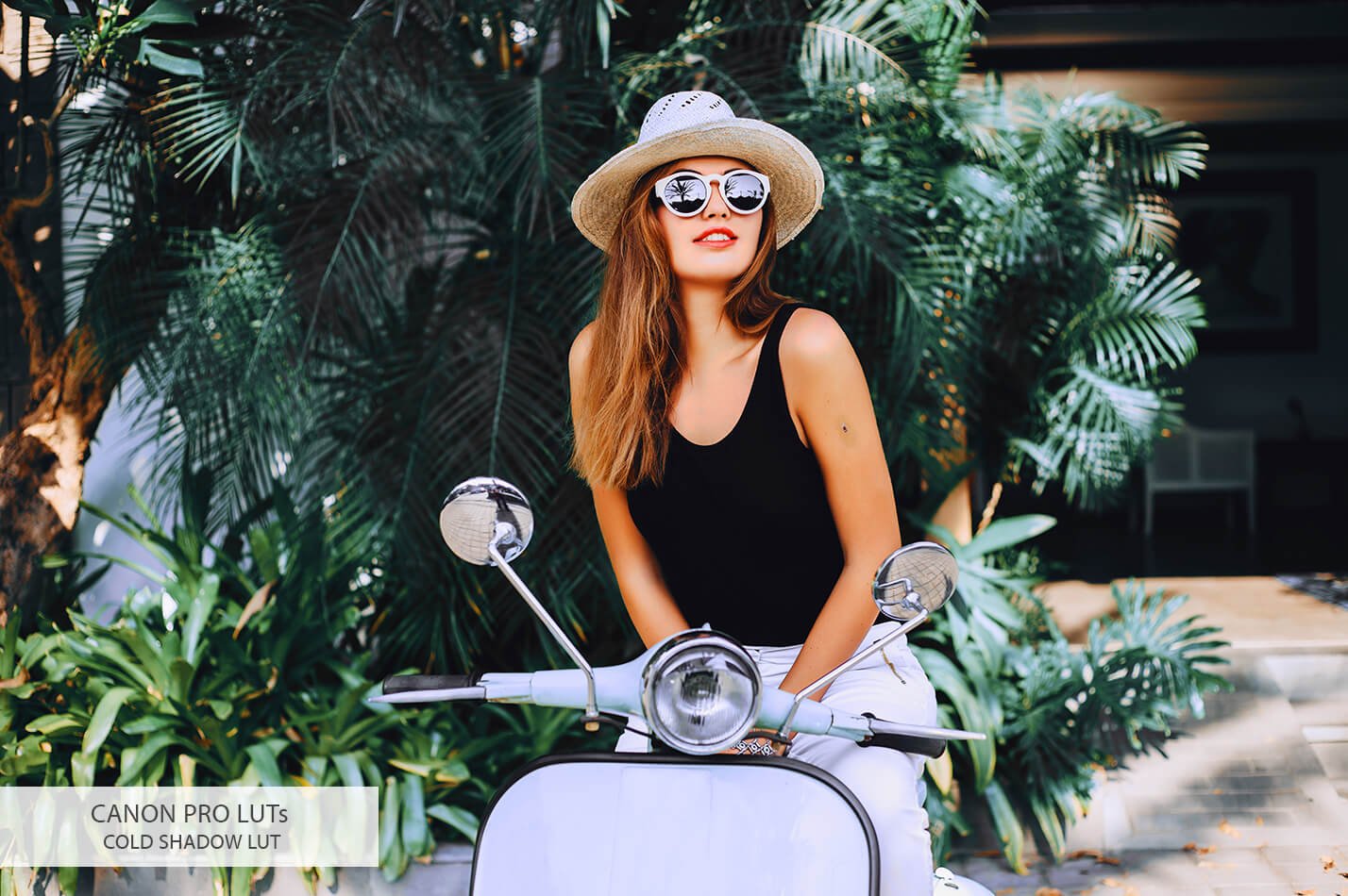 20个佳能相机视频后期LUT调色预设素材下载