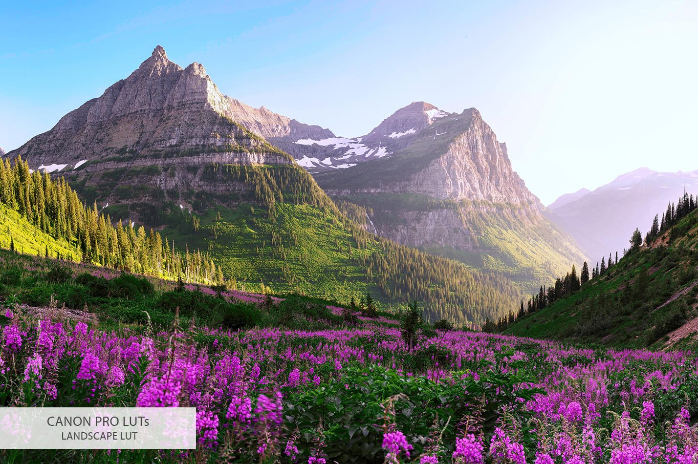 20个佳能相机视频后期LUT调色预设素材下载