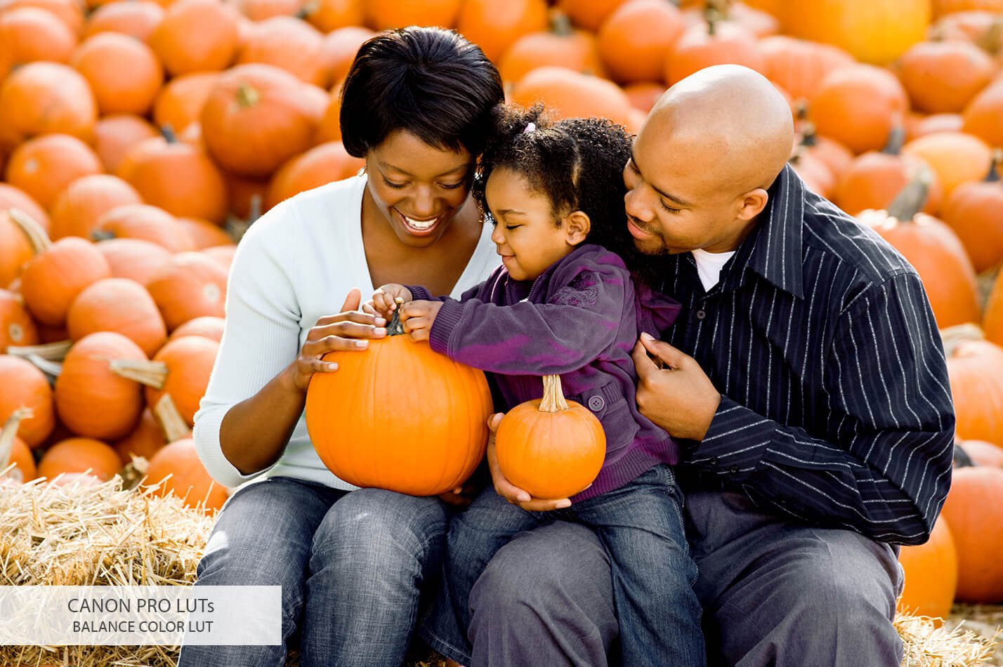 20个佳能相机视频后期LUT调色预设素材下载