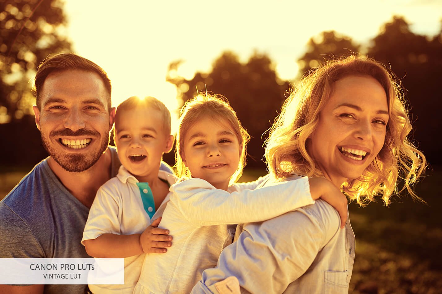 20个佳能相机视频后期LUT调色预设素材下载