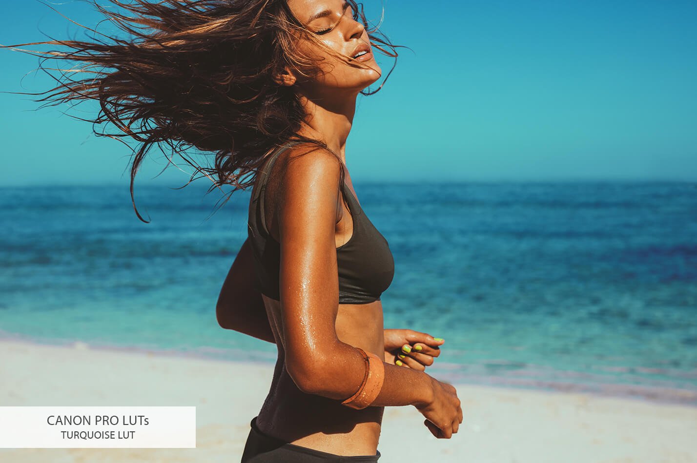 20个佳能相机视频后期LUT调色预设素材下载