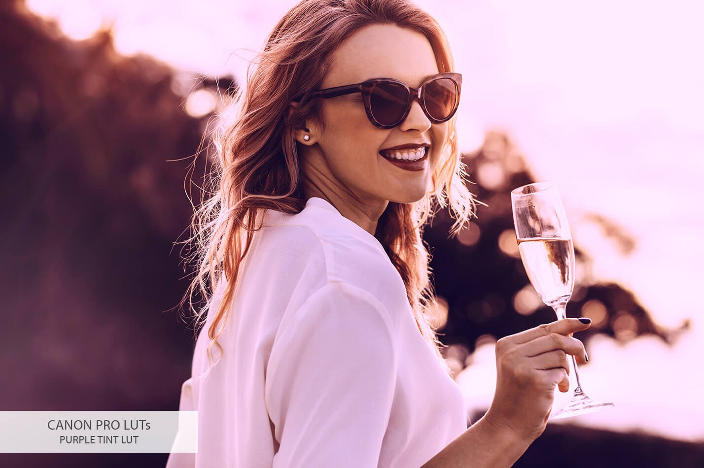 20个佳能相机视频后期LUT调色预设素材下载