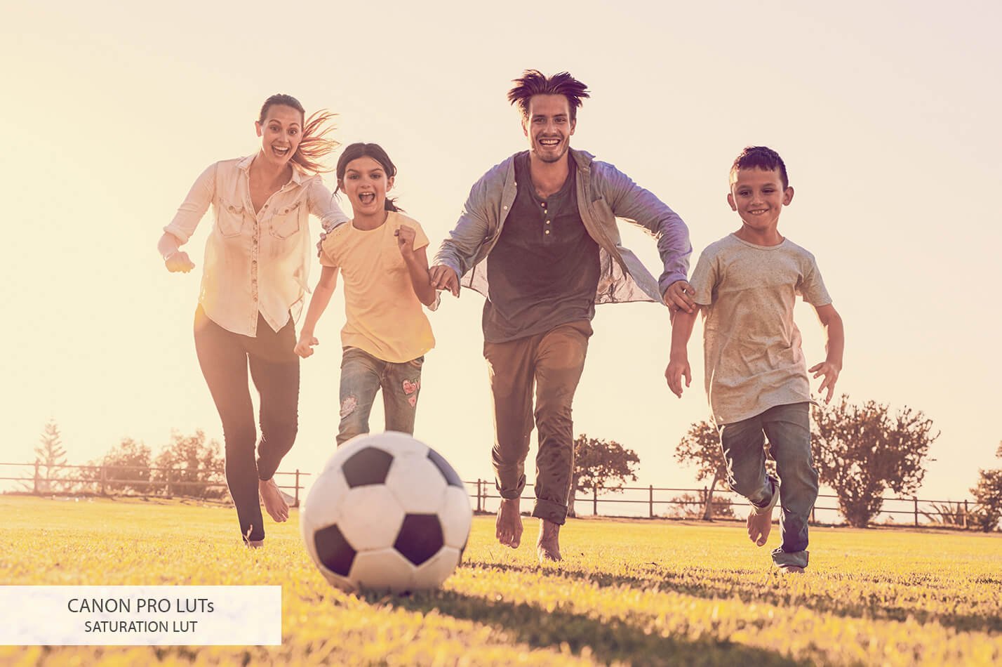 20个佳能相机视频后期LUT调色预设素材下载