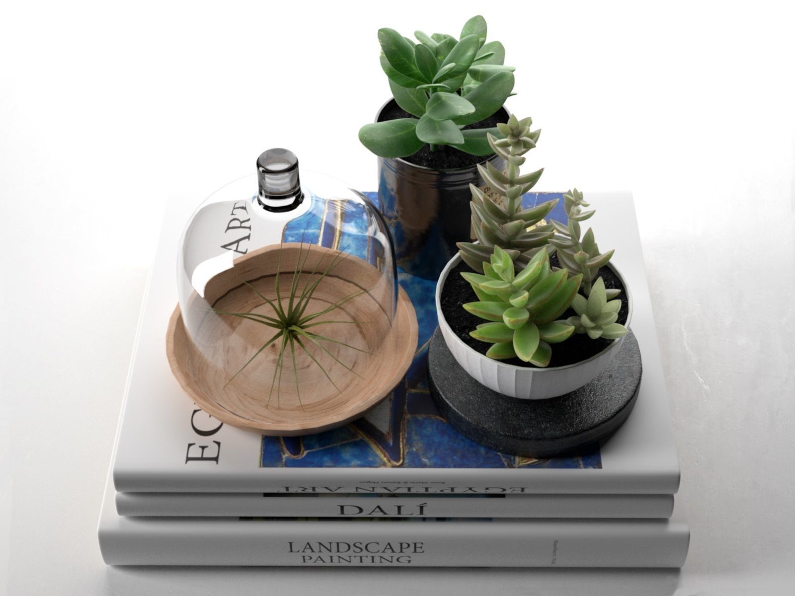 多肉植物玻璃制品和空气植物书本C4D素材模型下载