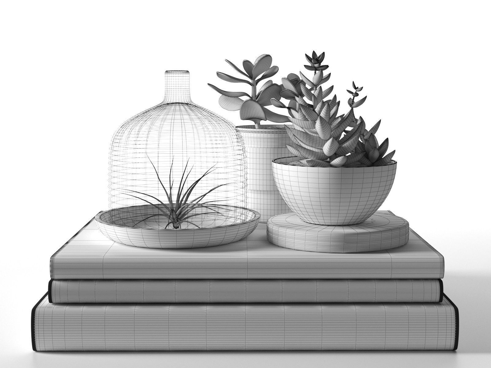 多肉植物玻璃制品和空气植物书本C4D素材模型下载