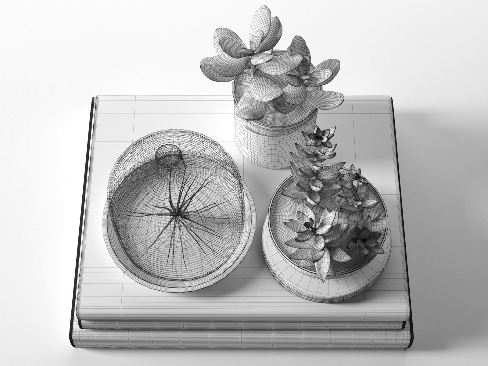 多肉植物玻璃制品和空气植物书本C4D素材模型下载