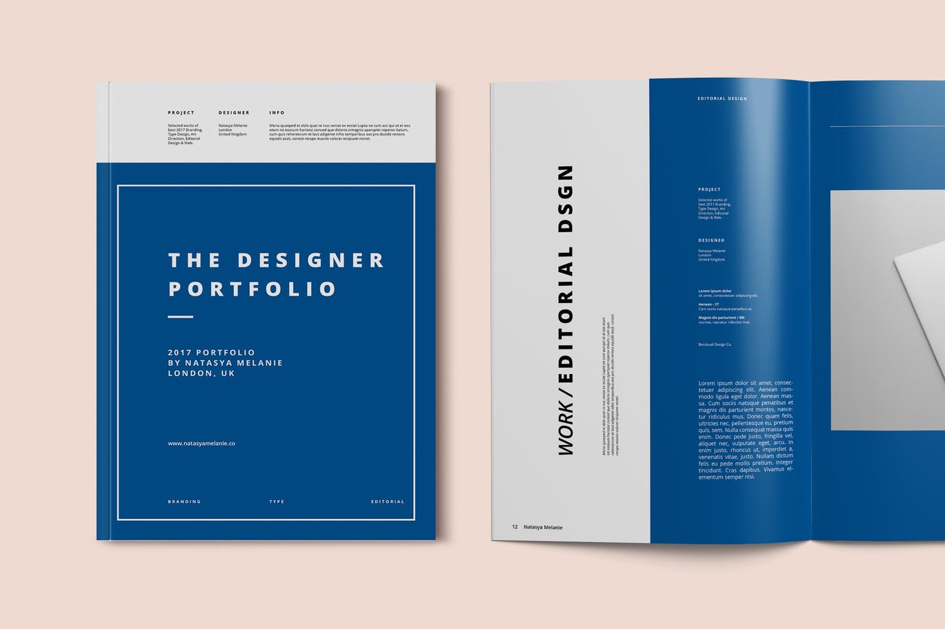 专业时尚品牌手册画册宣传册杂志设计模板