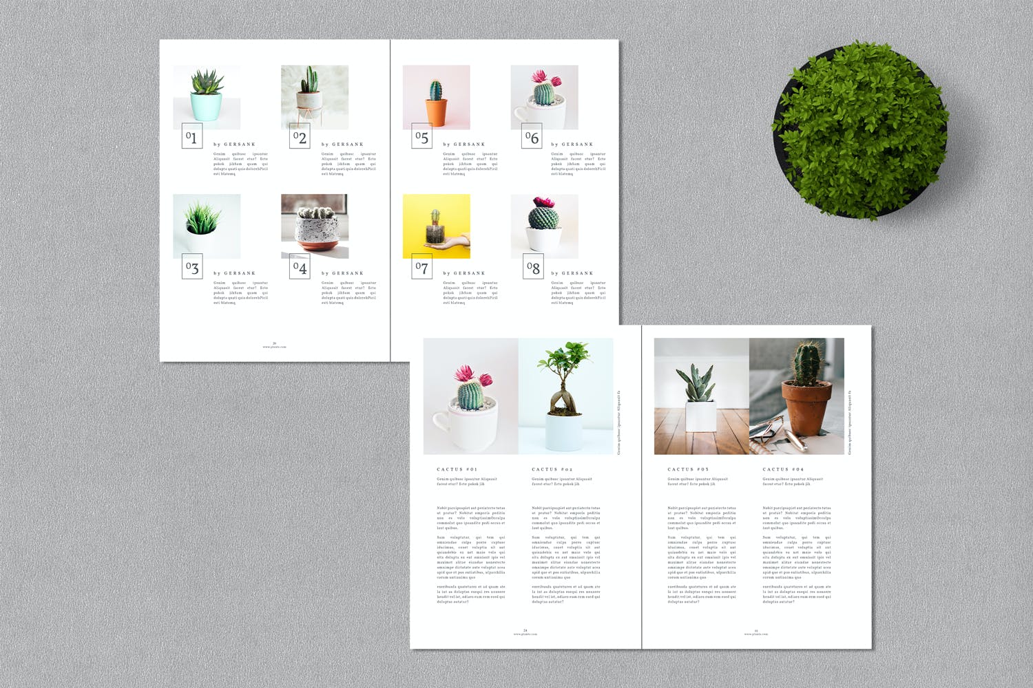 一套绿植画册设计INDD模板素材