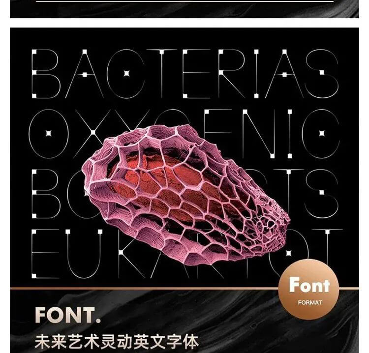 能让你瞬间提高作品逼格的百套硬盒英文字体套装下载