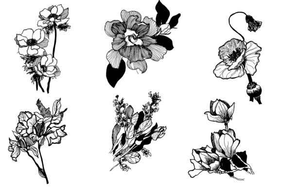35个黑白手绘花卉植物矢量插画素材合集