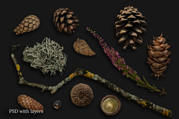 秋天森林元素场景创高清精美图片素材