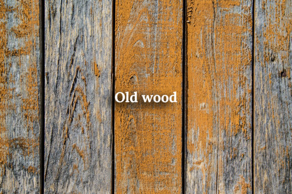 秋天森林元素场景创高清精美图片素材