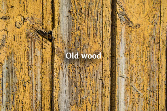 秋天森林元素场景创高清精美图片素材