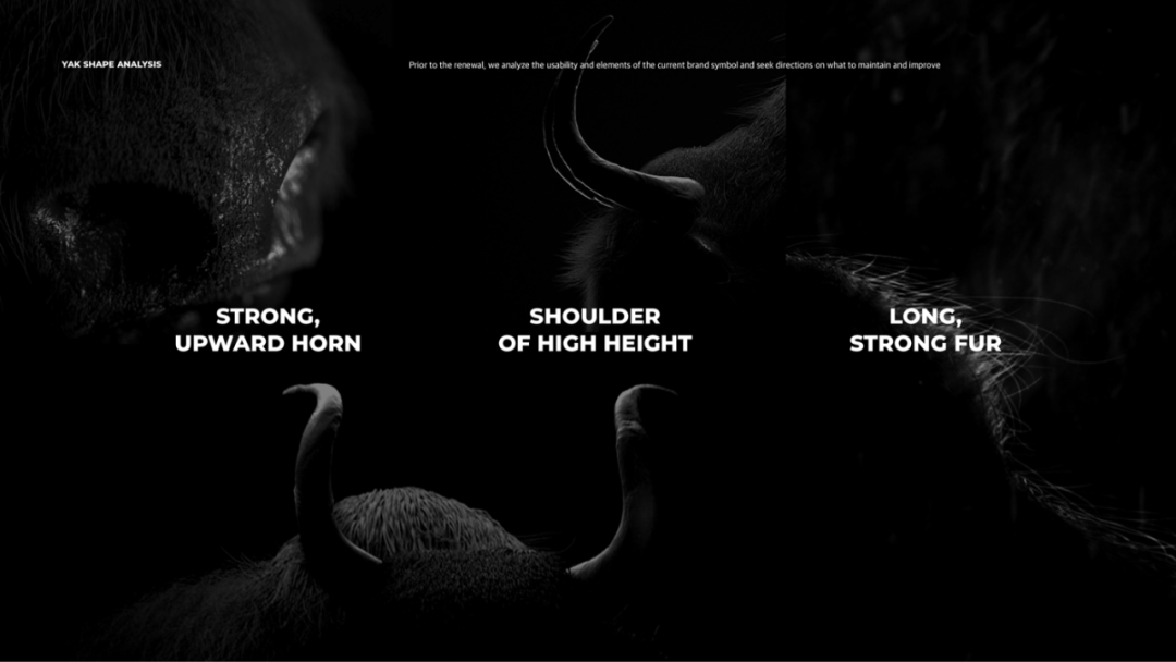 640-29 韩国PlusX的作品包装美学教你如何制作高大上的设计师简历设计