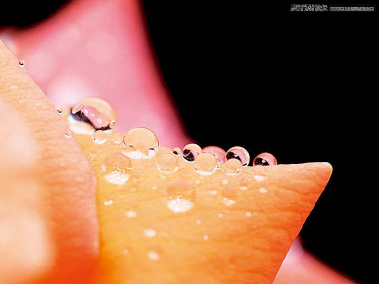 巧用PS混合模式调出花朵人像曝光效果