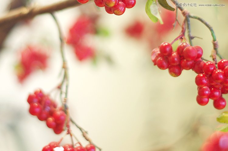 巧用PS混合模式调出花朵人像曝光效果