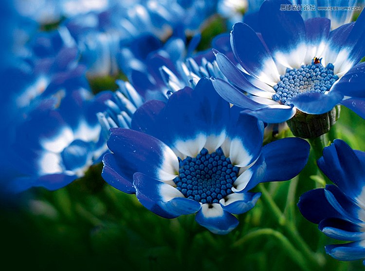 巧用PS混合模式调出花朵人像曝光效果