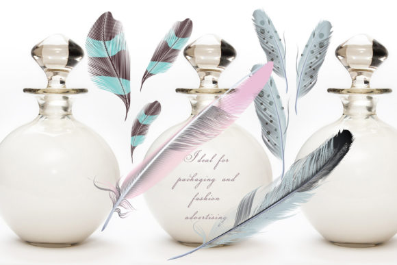 波西米亚风格矢量羽毛插画素材集