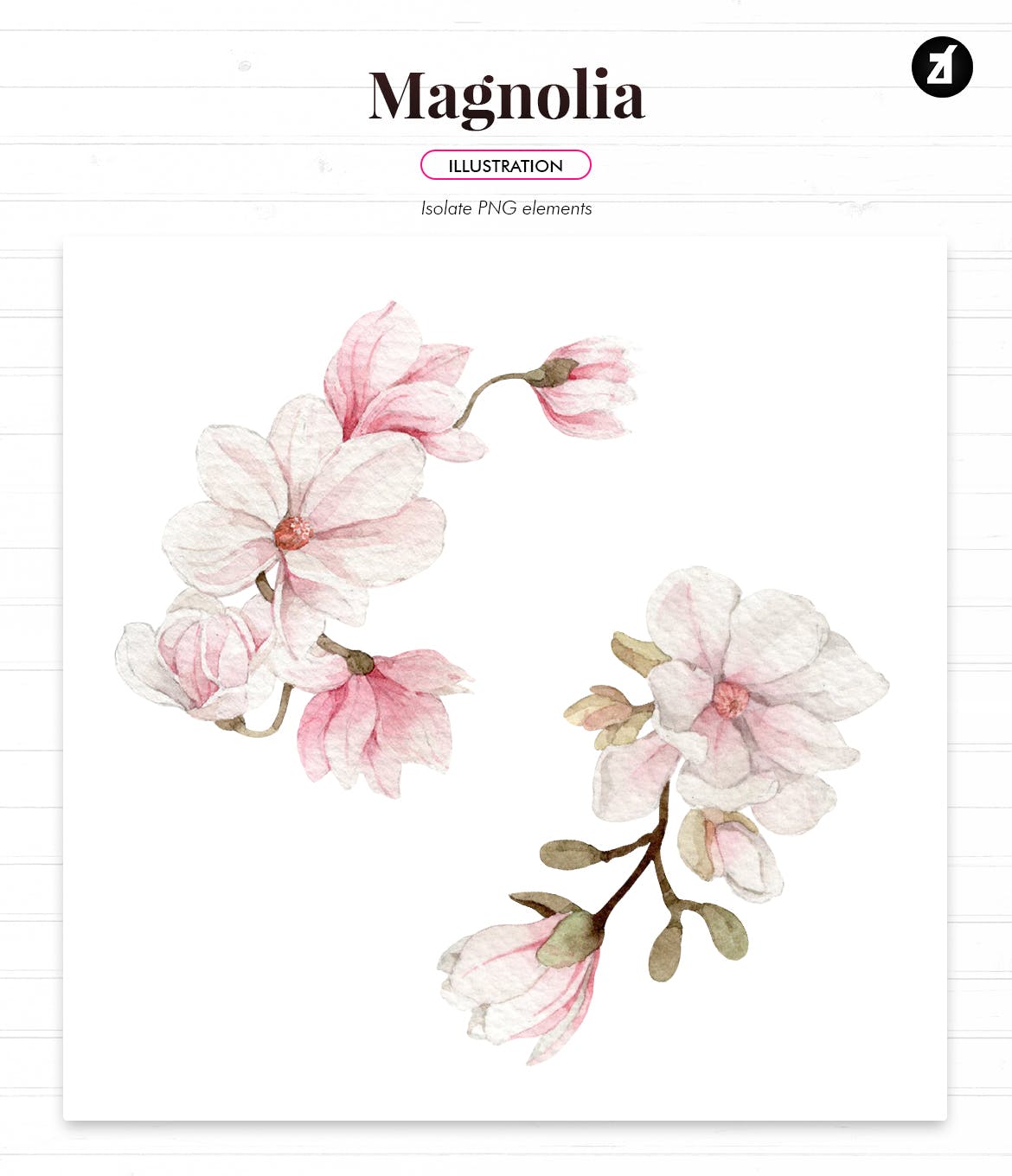 一组高端时尚优雅玉兰水彩框架边框花纹纹理素材