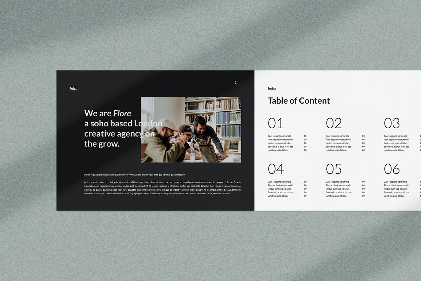 黑色简洁时尚高端高品质品牌VI手册宣传册设计素材模板