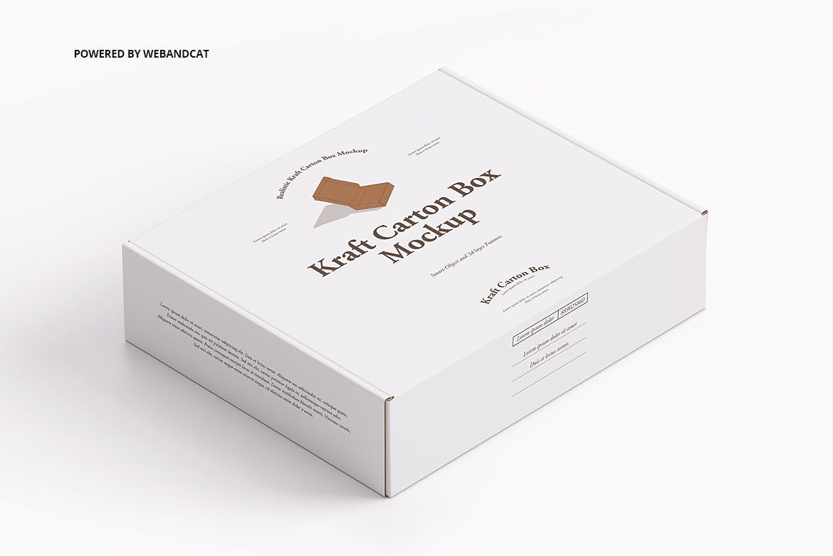 高品质时尚快递包装盒子VI样机展示