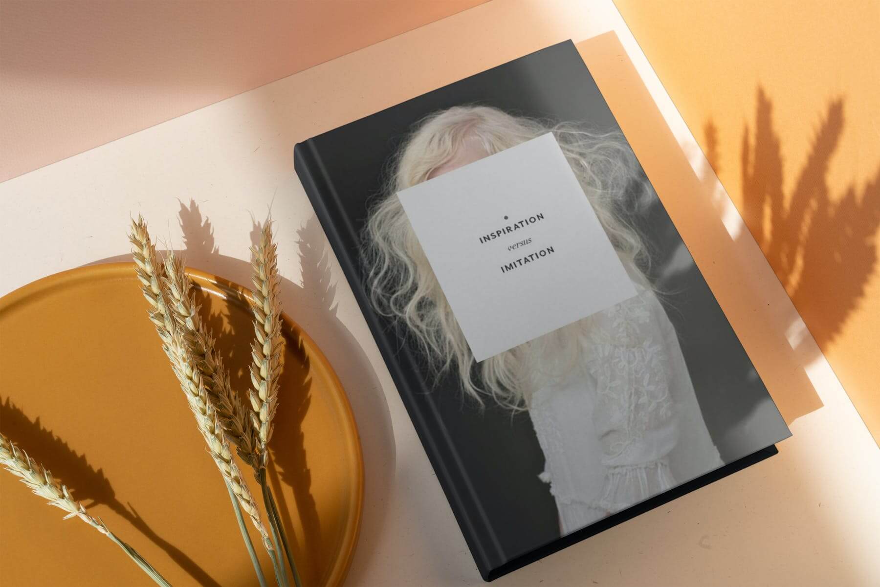 精装书与书影样机PSD素材合集