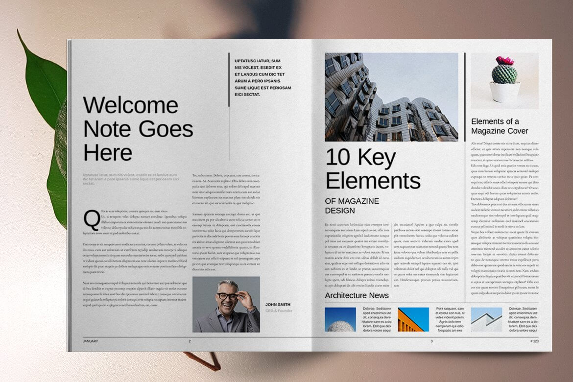 报纸杂志画册风格VI设计素材模板