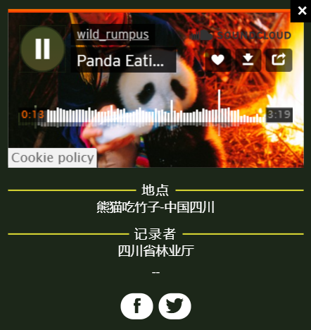 这里有全世界所有森林的环境音效,找森林音效来这里就够了!