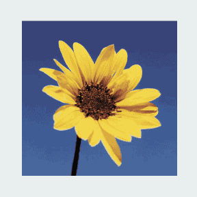 为什么总监做图又快又好！原来他有AI最强必备开挂插件！