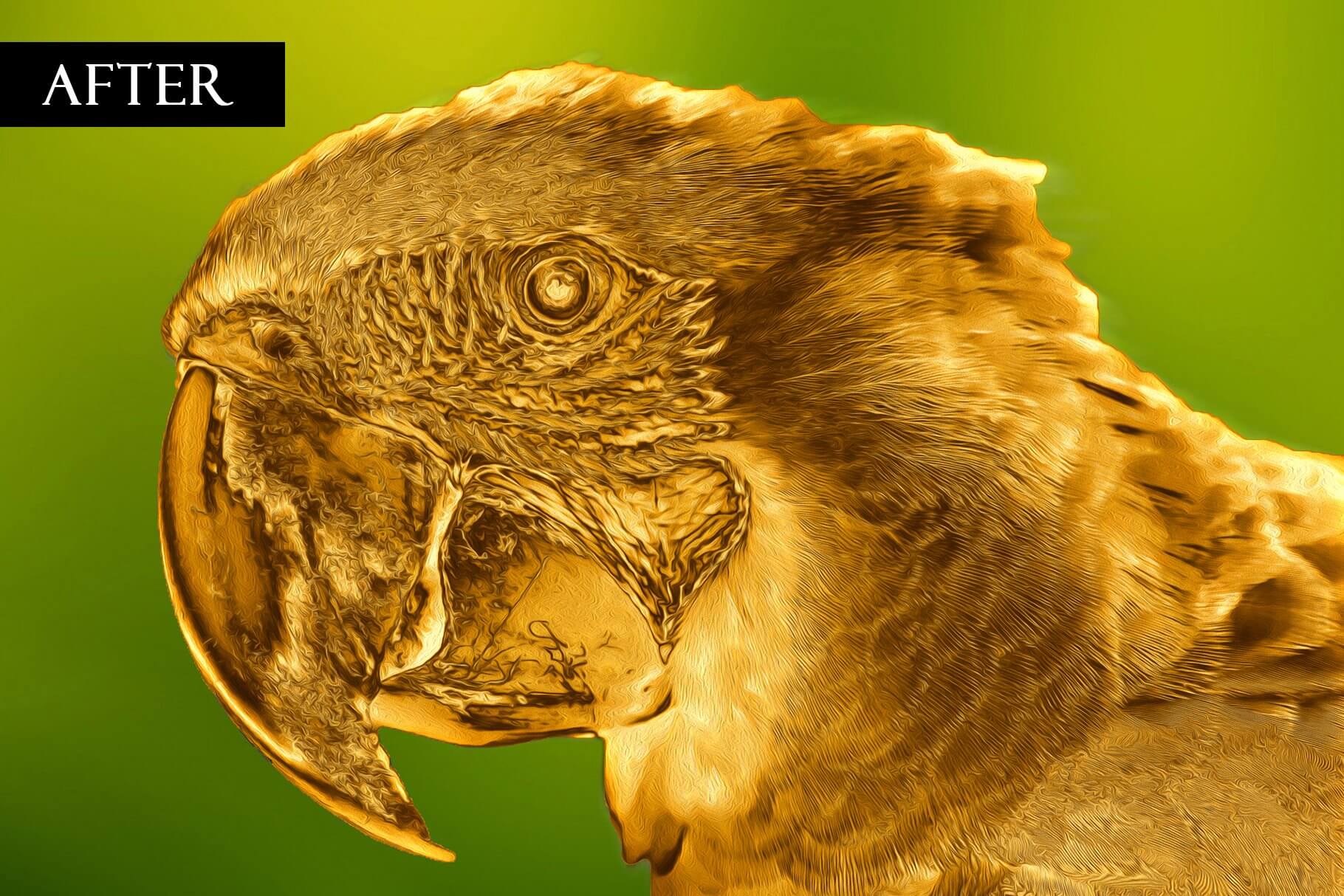 一键生成逼真金色外观照片PS动作效果