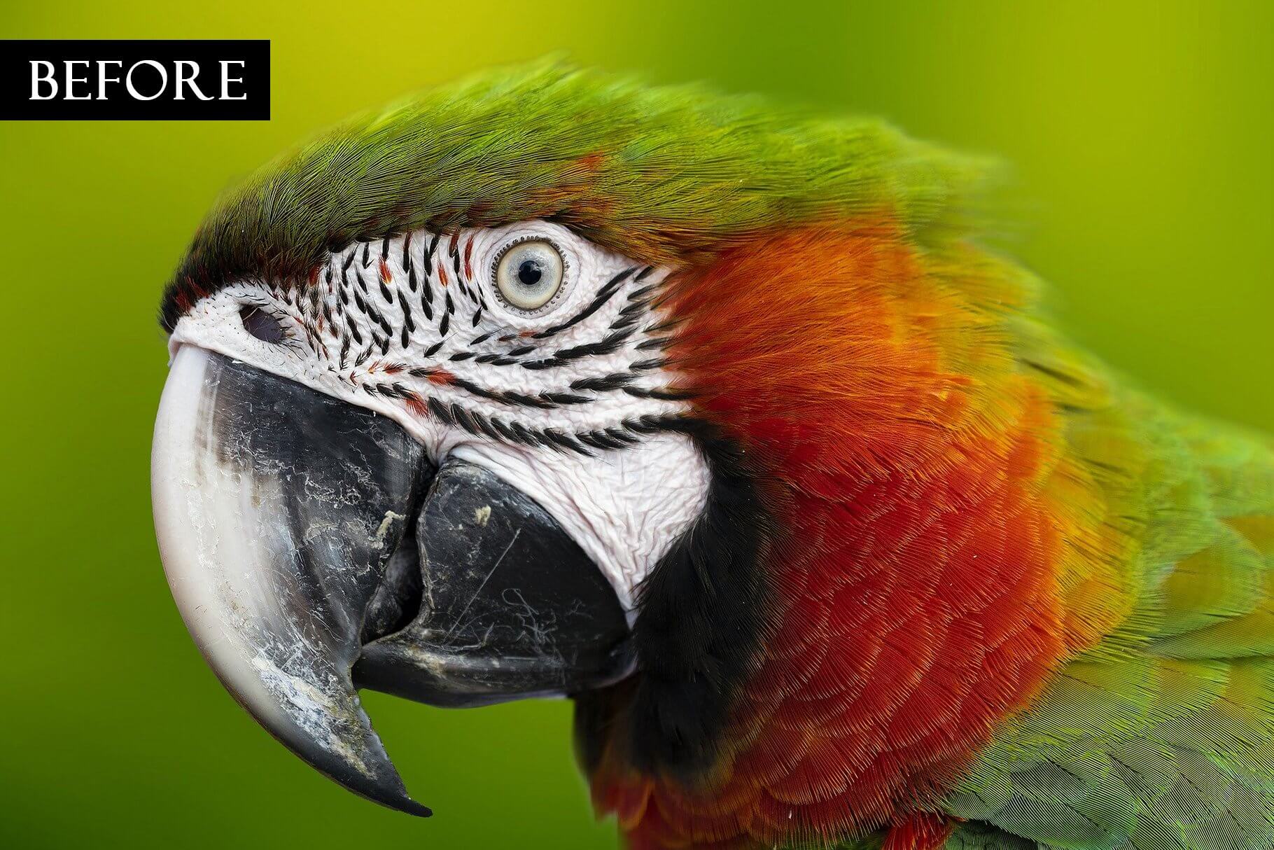 一键生成逼真金色外观照片PS动作效果