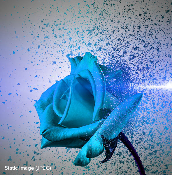 粒子爆炸分散GIF动画效果PS动作素材