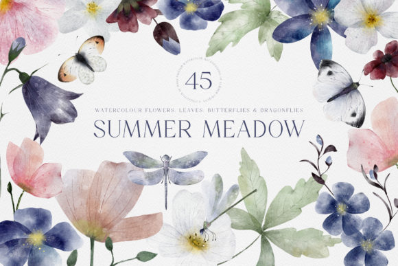 40+水彩手绘花朵叶子插画素材