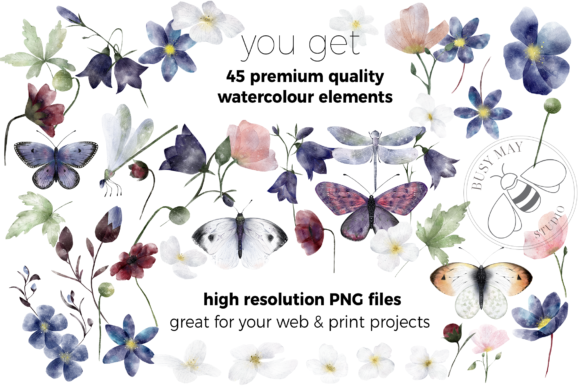 40+水彩手绘花朵叶子插画素材