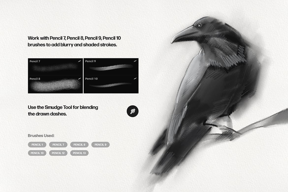 25支逼真铅笔效果 Procreate 笔刷素材下载