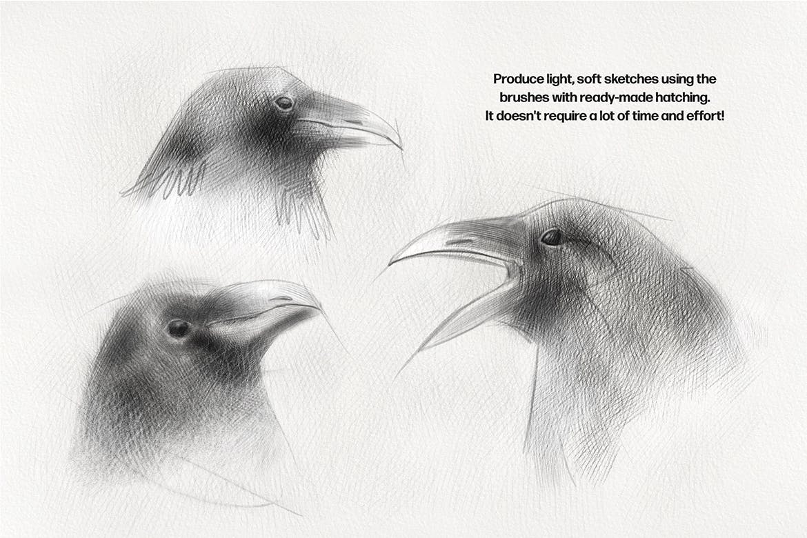 25支逼真铅笔效果 Procreate 笔刷素材下载