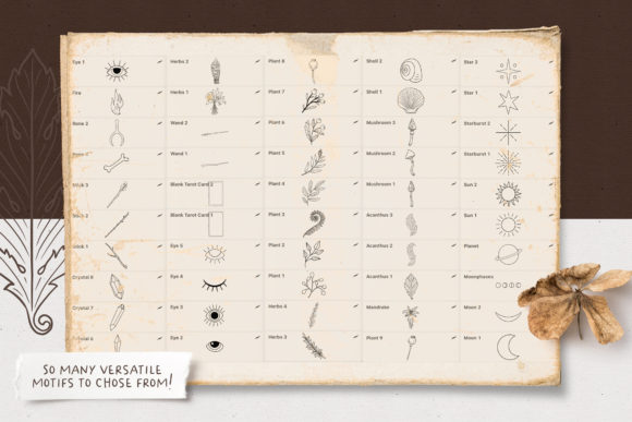 拥有神秘元素的印章Procreate笔刷素材