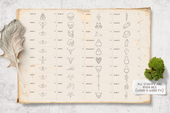 拥有神秘元素的印章Procreate笔刷素材