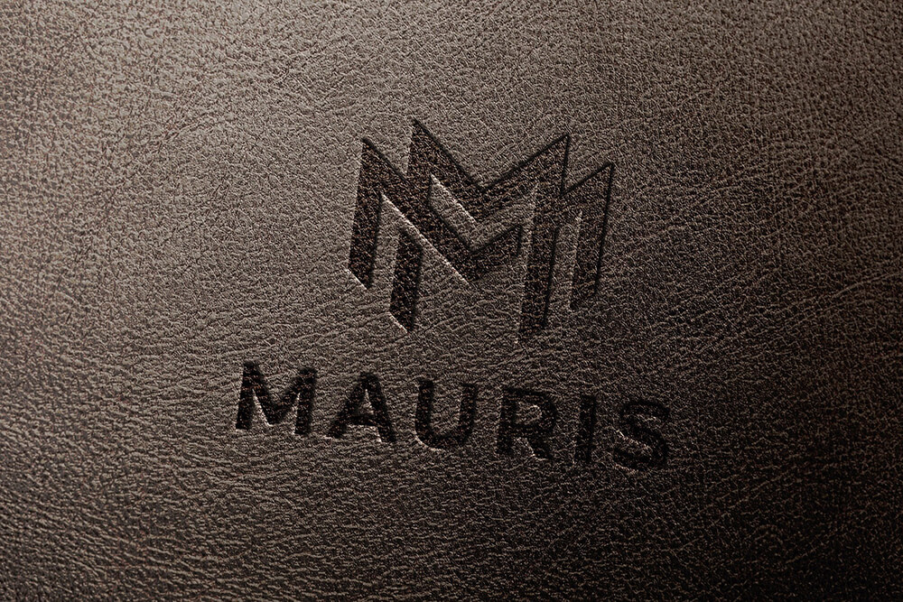 高端企业级品牌VI标志Logo样机素材包（PSD）