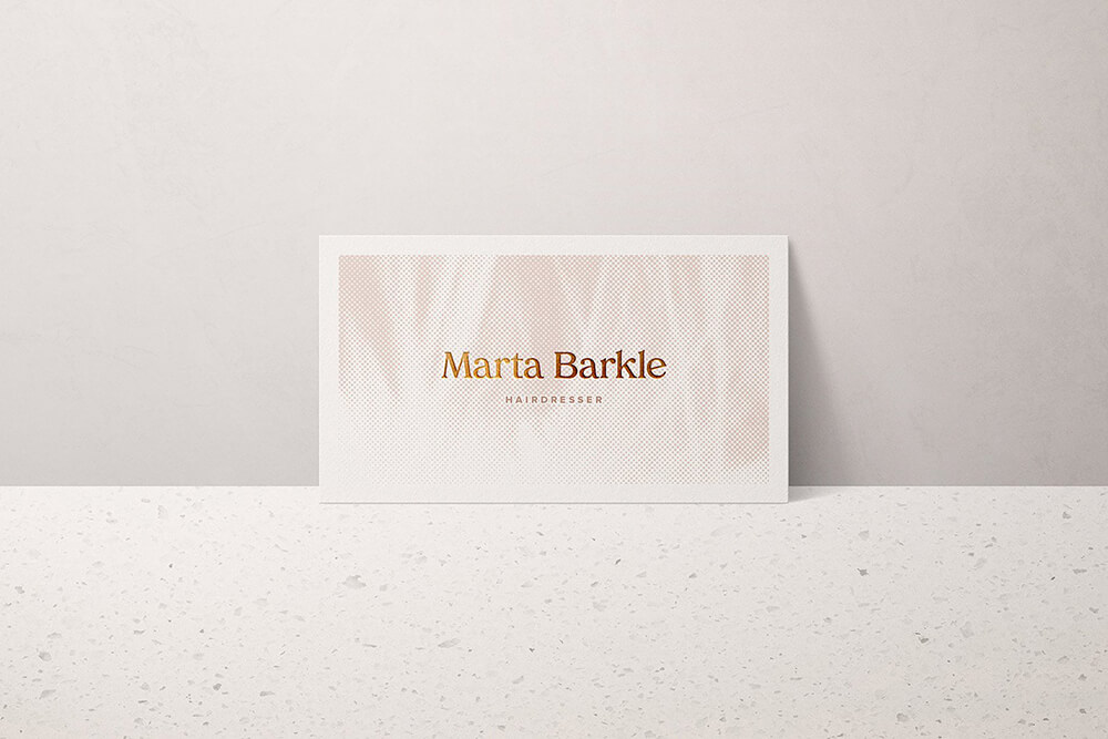 高端企业级品牌VI标志Logo样机素材包（PSD）