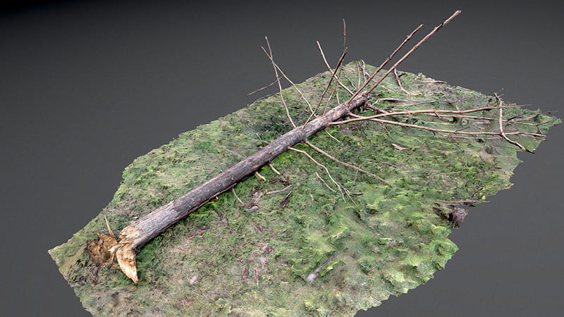 大神分享50套高品质写实C4D模型,每一个都是精品!